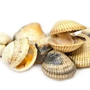 Berberechos