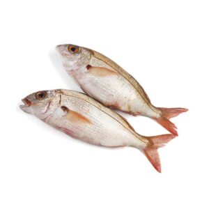 Besugo blanco