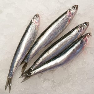 Boquerón del Cantábrico