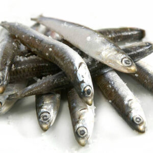 Boquerón del Mediterráneo