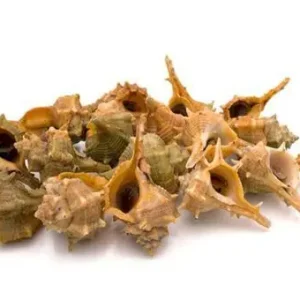 Cañaíllas