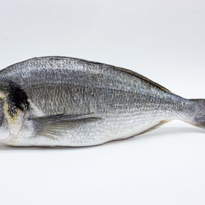 Dorada de cultivo