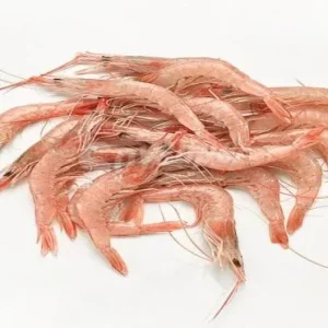 Gamba arrocera mediana Huelva