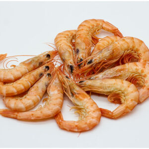 Gamba cocida fresca