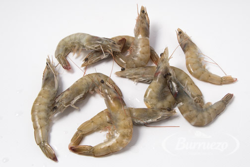Langostino crudo congelado