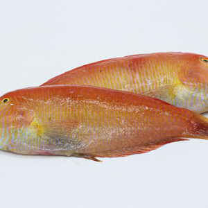 Loritos