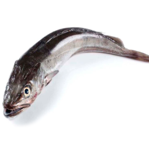 Merluza de Coruña