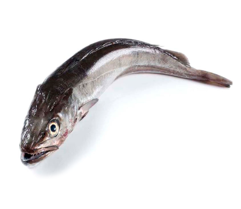 Merluza de Coruña