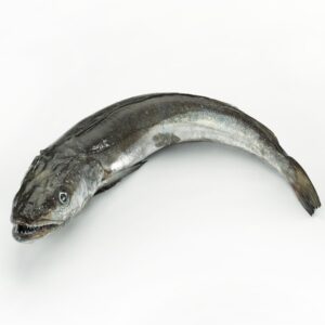 Pescadilla de pincho
