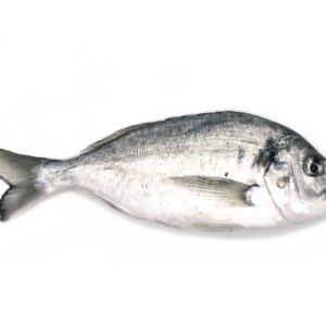 Dorada estero