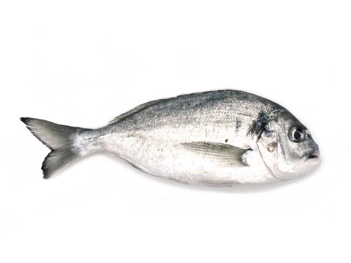 Dorada estero