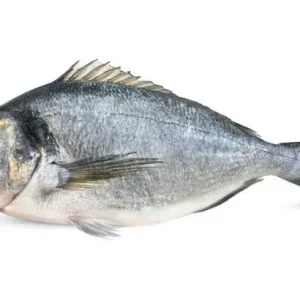 Dorada salvaje
