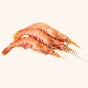 Gamba Argentina