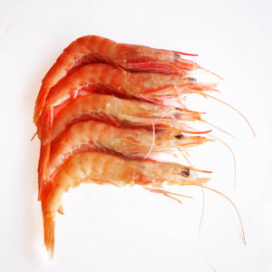 Gamba arrocera Huelva