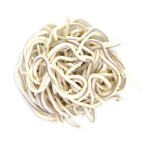 Gulas