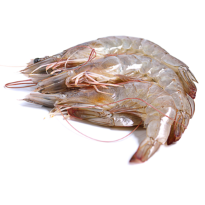 Langostinos crudos