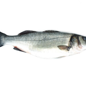 Lubina estero