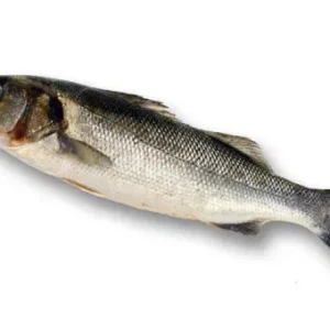 Lubina salvaje