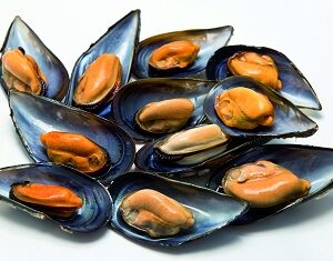 Mejillón cocido