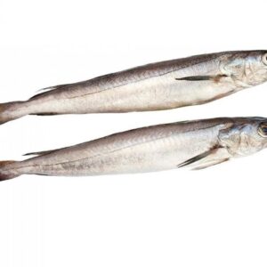 Pescadilla de Coruña