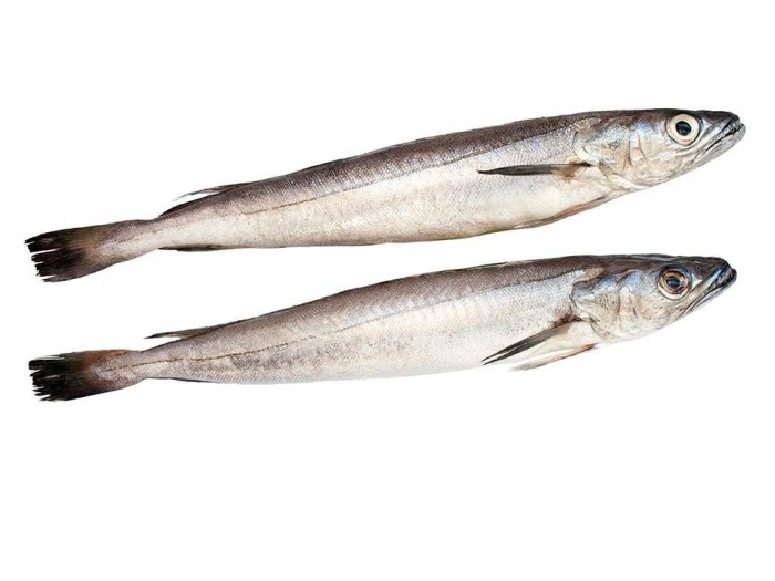 Pescadilla de Coruña